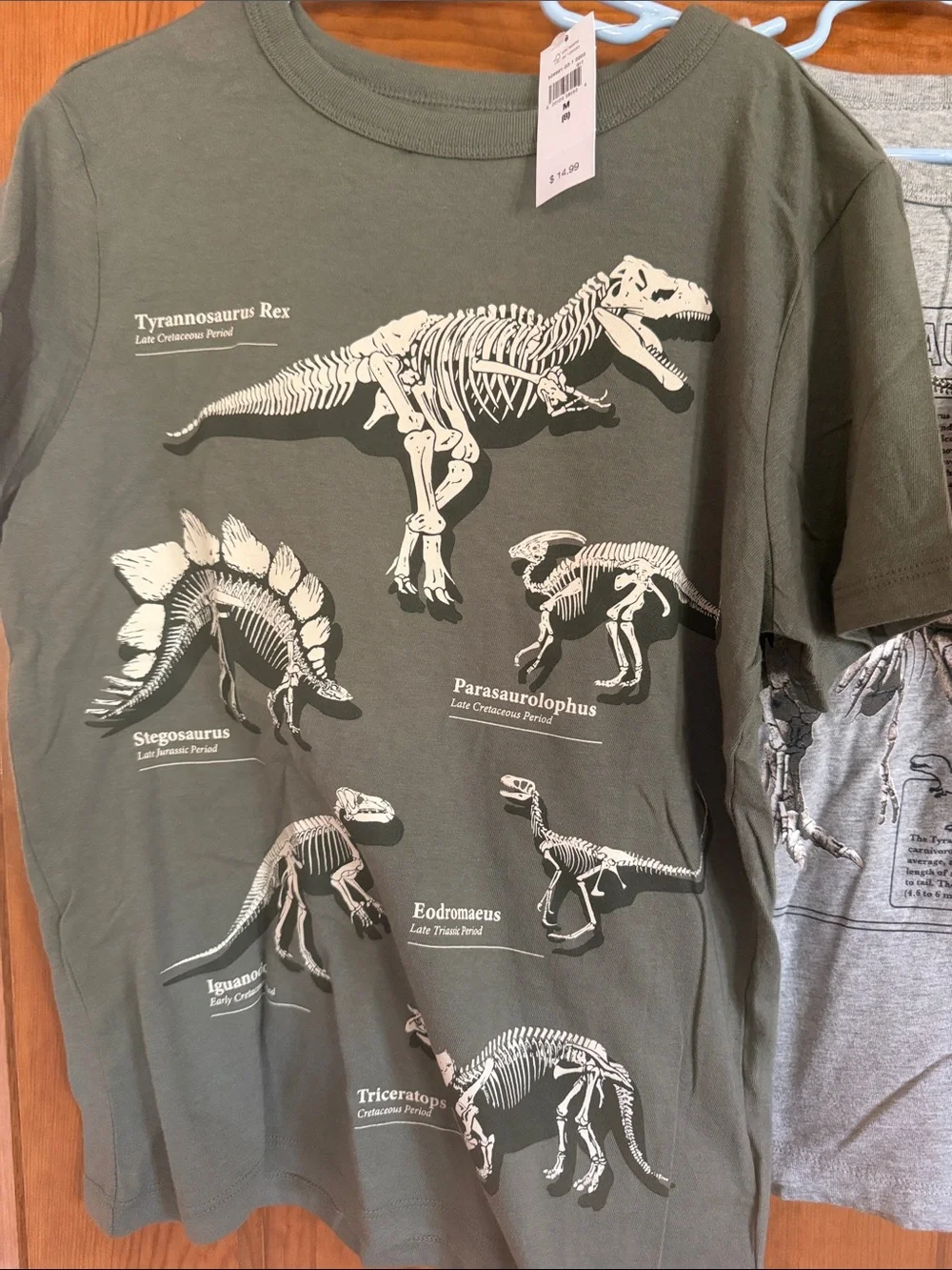 Gap & Old Navy graphic dinosaur shirts, M/8